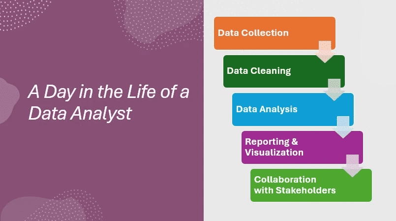 A day in the life of a Data Analyst